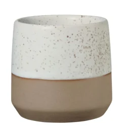 ASA Zuckerdose CAJA nude