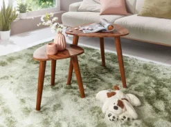 Beistelltisch 2er-Set braun