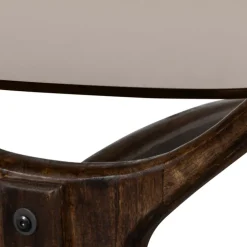 Beistelltisch FLASH 110 x 60 cm Mangoholz/Farbglas braun