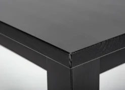 Beistelltisch MICHAEL 45x55x45 cm Massivholz schwarz