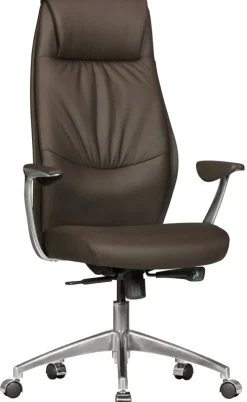 Chefsessel 67 x 125 cm braun