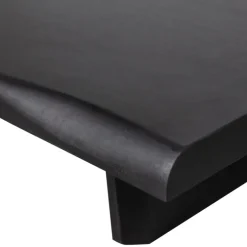 Couchtisch CALI 120x55 cm matt schwarz