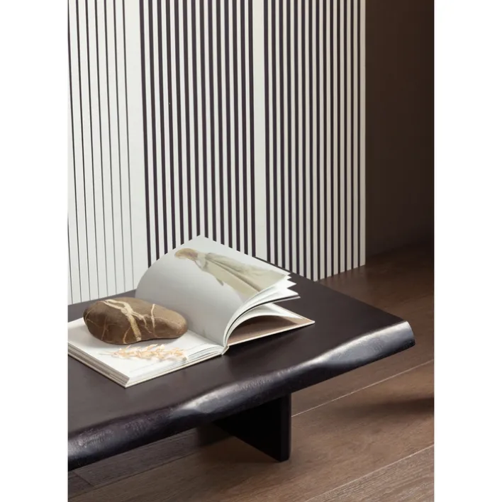 Couchtisch CALI 120x55 cm matt schwarz