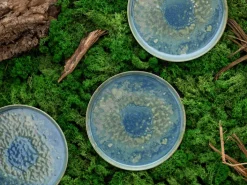 CreaTable Speiseteller YUKI 6er Set 28 cm Hochwertiges Steinzeug