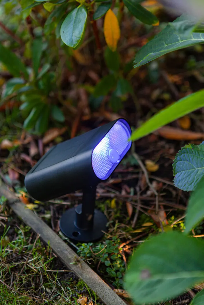 ECO-LIGHT LED Solar Außenstrahler GINBO schwarz