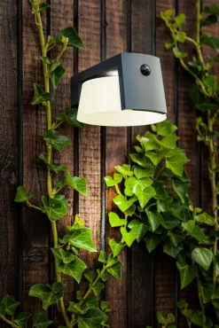 ECO-LIGHT LED Solar Außenwandleuchte MOON B anthrazit