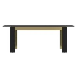 Esstisch NORICA 160-200x75,6 cm schwarz matt