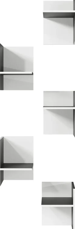 Facheinsätze PASADENA 5-teilig Anthrazit/ Weiß