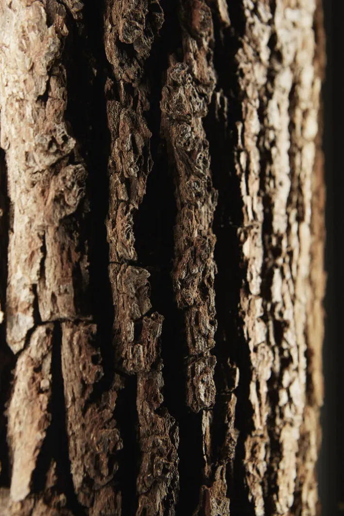 hartmann Vitrine RUNA 82 x 205 cm Kerneiche /Rinde