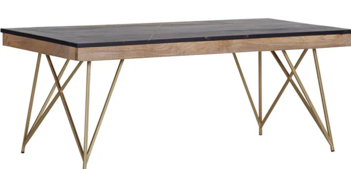 INTERhome Couchtisch LEVI 120 x 60 cm schwarz/ messingfarbig