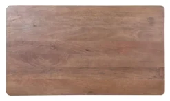 INTERhome Esstisch SCAN 160 x 90 cm braun/goldfarbig