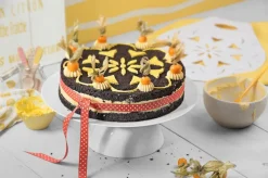 KAISER Kuchenheber PATISSERIE weiß