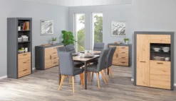 Kommode ROLAND 1T4S grau/ braun