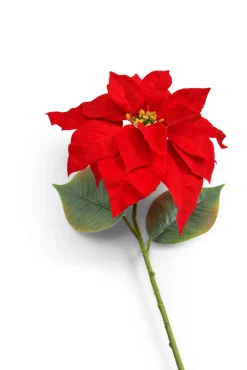 Kunstblume Weihnachtsstern MERRY CHRISTMAS Kunststoff 55 x 23 x 23 cm Rot/Grün