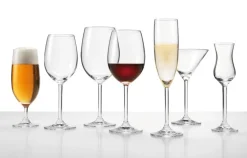 LEONARDO Bierglas DAILY