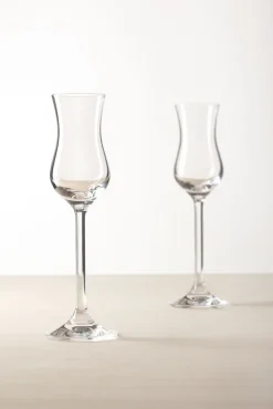 LEONARDO Grappaglas DAILY