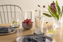 LEONARDO Longdrinkglas CAPRI 4er Set grau