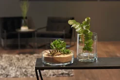 LEONARDO Schale NOVARA klarglas