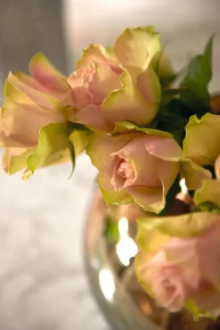 LEONARDO Vase POESIA 15,4 cm goldfarbig