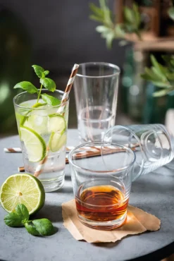 LEONARDO Whiskyglas EVENT 6er Set - je 280 ml