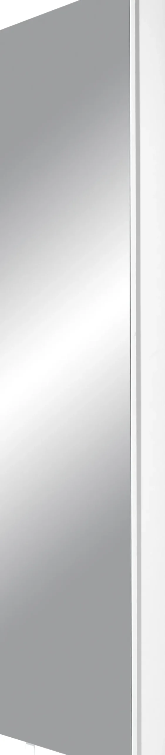 Mehrzweckschrank drehbar 50 x 195 cm Spiegelfront/weiß