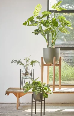 MICA DECORATIONS Blumentopfständer ASCOT 16 x 16 cm schwarz