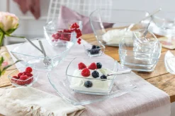 montana Schale CARRE 24 x 24 cm klarglas