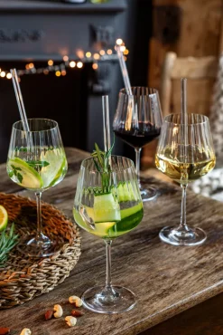 Nachtmann Gin Tonic-Set TASTES GOOD 9-teilig Kristallglas