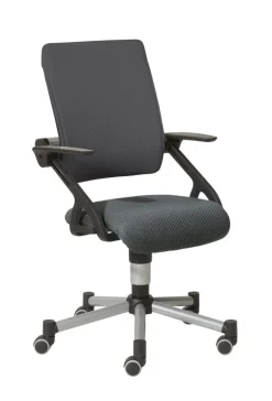 PAIDI Drehstuhl TIO SITNESS grau/ silbergrau