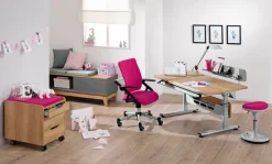 PAIDI Drehstuhl TIO SITNESS grau/ silbergrau