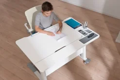 PAIDI Schreibtisch JARO Kreideweiß