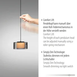 Paul Neuhaus LED Balkenpendel RIKA 3-flg cm schwarz