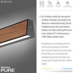 Paul Neuhaus LED Balkenpendel PURE E-MOTION 2-flg schwarz