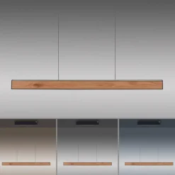 Paul Neuhaus LED Balkenpendel PURE E-MOTION 2-flg schwarz