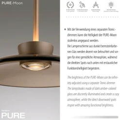 Paul Neuhaus LED Balkenpendel PURE MOON 3-flg bronze