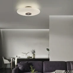 Paul Neuhaus LED Deckenlampe PURE VITRUM 45 cm braun