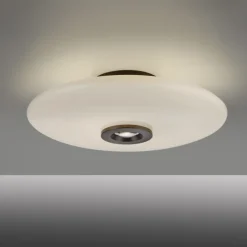 Paul Neuhaus LED Deckenlampe PURE VITRUM 45 cm braun