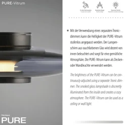 Paul Neuhaus LED Deckenlampe PURE VITRUM 22 cm grau