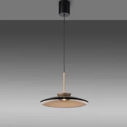 Paul Neuhaus LED Pendelleuchte PURE E-MOON 1-flg bronze