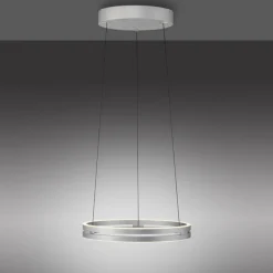 Paul Neuhaus LED Pendelleuchte PURE E-LOOP Aluminium Ø 50 cm Alu-/Nickelfarbig