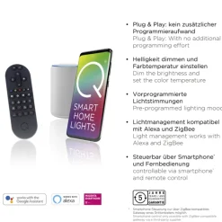 Paul Neuhaus LED Pendelleuchte Q-BELUGA Messing/ Schwarz matt