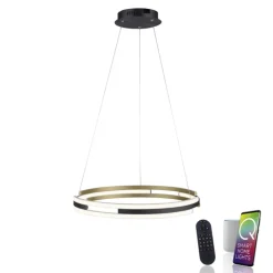 Paul Neuhaus LED Pendelleuchte Q-BELUGA Messing/ Schwarz matt