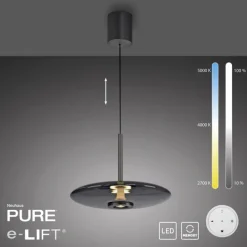 Paul Neuhaus LED Pendelleuchte PURE E-VITRUM 45 cm grau