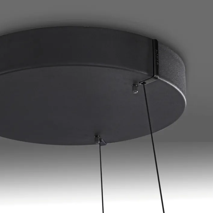 Paul Neuhaus LED Pendelleuchte PURE E-LOOP 70 cm schwarz