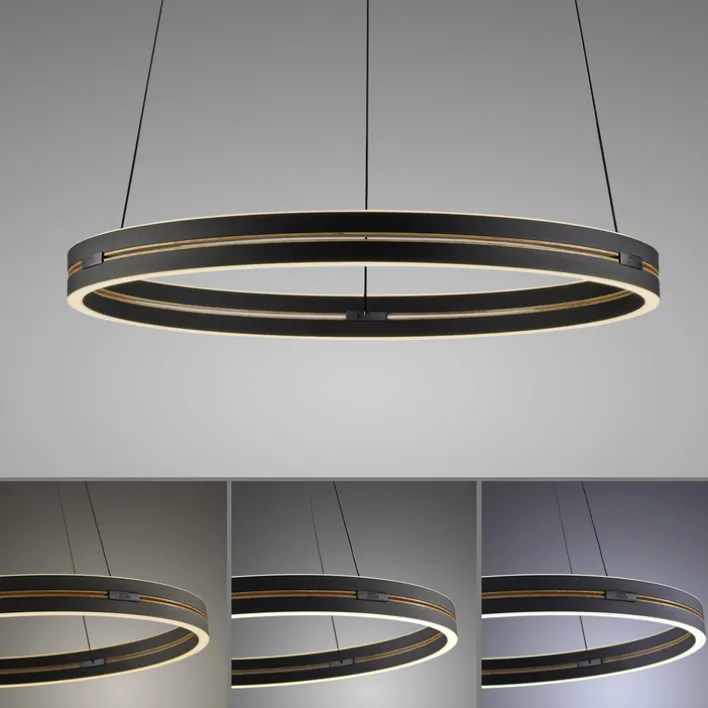 Paul Neuhaus LED Pendelleuchte PURE E-LOOP 70 cm schwarz