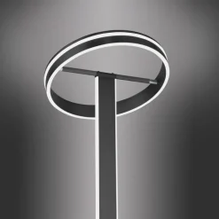 Paul Neuhaus LED Stehlampe Q-VITO anthrazit