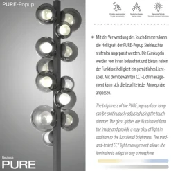 Paul Neuhaus LED Stehlampe PURE POPUP 12-flg grau