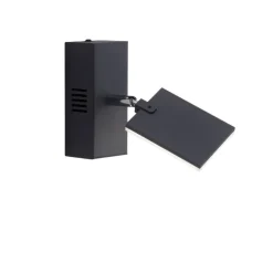 Paul Neuhaus LED Wandleuchte mit Spot PURE-MIRA schwarz