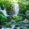 PRO ART Canvas-Art Young Living FOREST & WATERFALL I 60 x 80 cm mehrfarbig