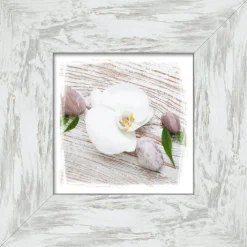 PRO ART New Classic Wood Bild WHITE SPRING IV 34 x 34 cm Rahmen grau